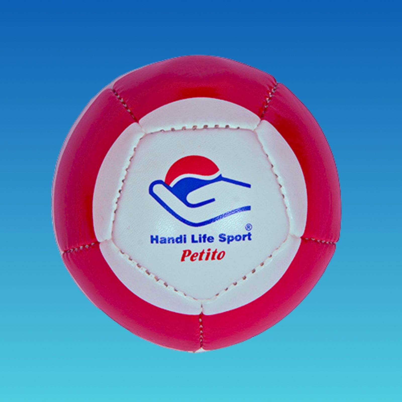 Afbeeelding van het spel Beweegspel voor slechtzienden, speciaal geselecteerd  voor ouderen met dementie