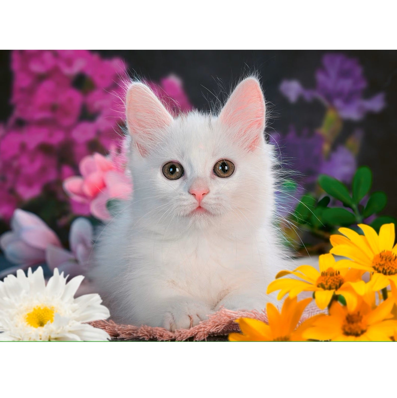 Puzzel Ravensburger - Schitterend Katje (100 XXL)