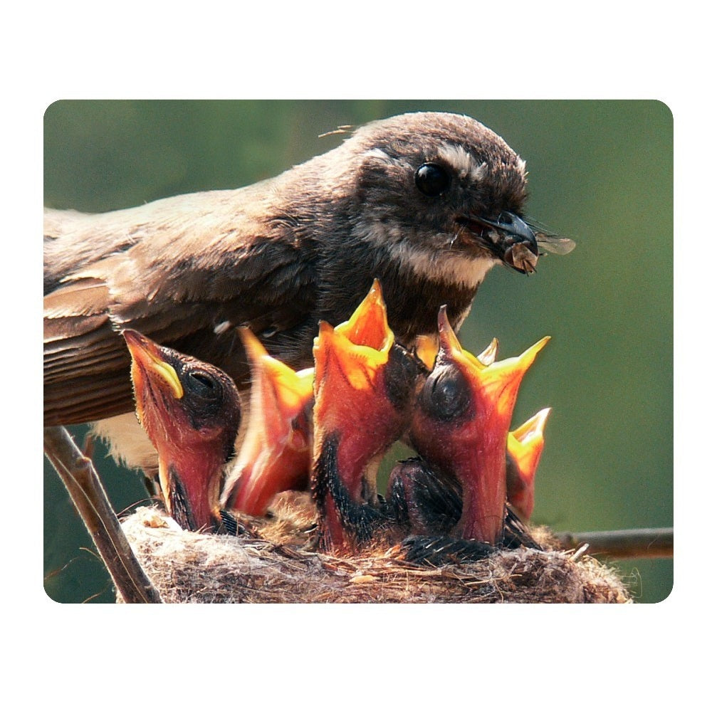 Afbeeelding van het spel Foto Box - De Seizoenen, speciaal geselecteerd  voor ouderen met dementie.